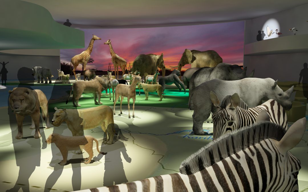 Miami Wildlife Museum